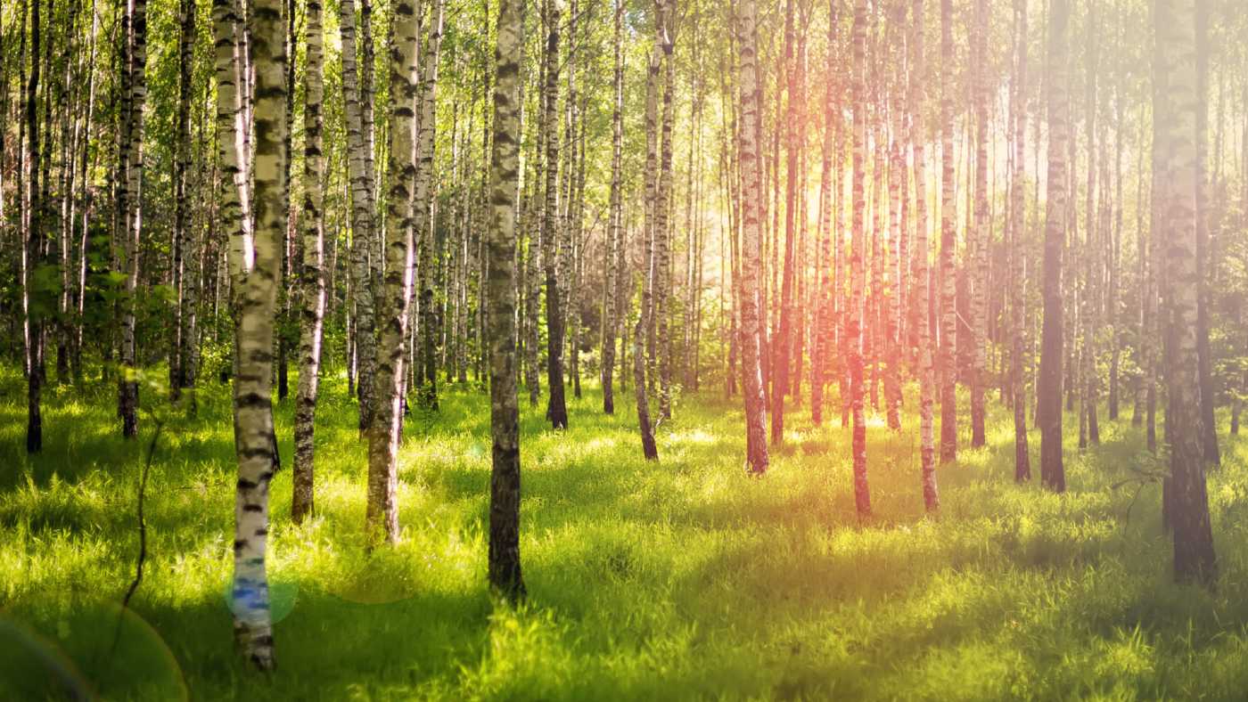 Here’s to the misfits and the troublemakers